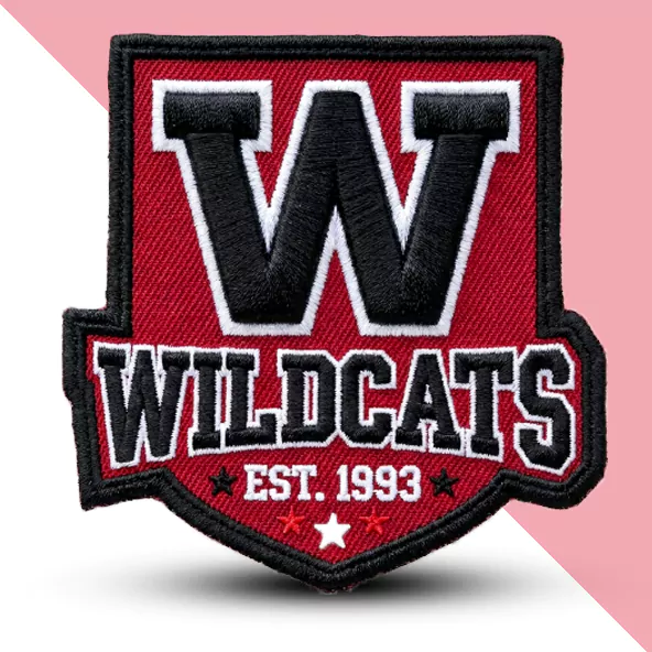 3D Embroidered Patches